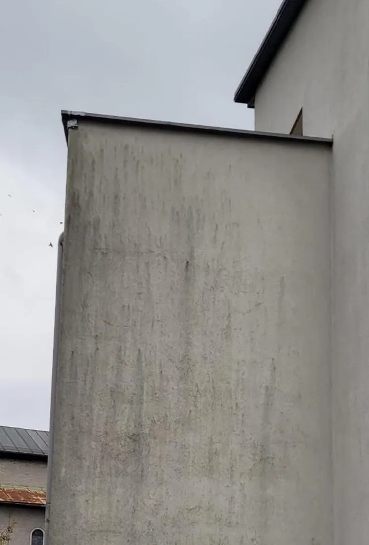 Fensterlose Giebelwand mit grünlichem Algenbelag über die ganze Fläche