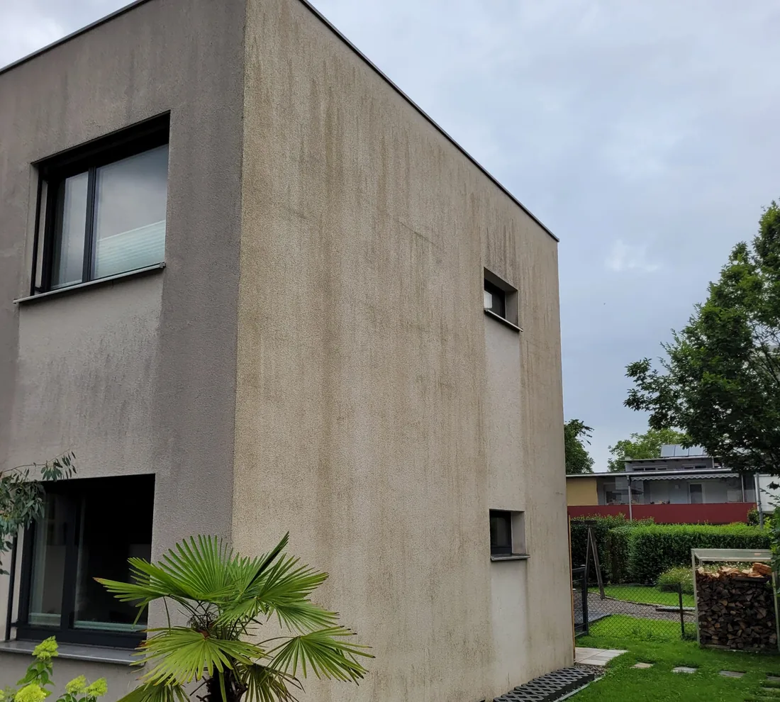 Einfamilienhaus mit veralgter Putzfassade, grünlich-brauner Belag mit senkrechten Schlieren über die ganze Wand