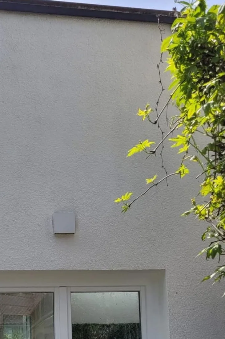 Dieselbe Hausfassade nach der Reinigung, Putz wieder hell und gleichmäßig