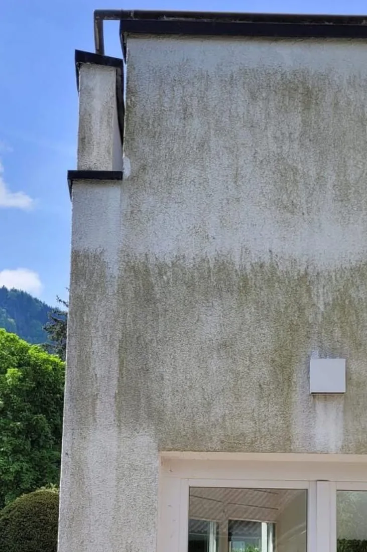 Hausfassade am Schwimmteich mit starkem Algen- und Grünbelag vor der Reinigung