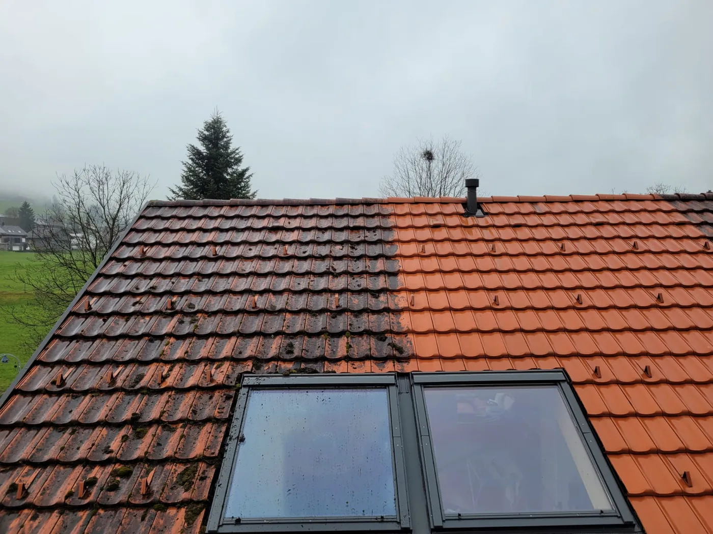 Ziegeldach über einem Wohnhaus, die rechte Hälfte frisch gereinigt und leuchtend rot, die linke noch dunkel