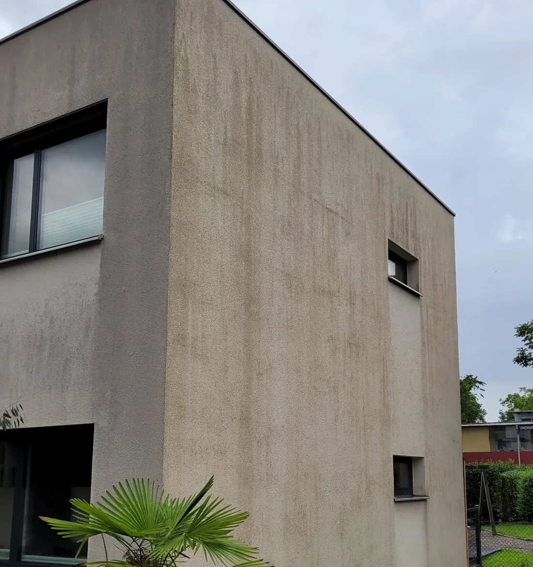 Wohnhaus mit veralgter Putzfassade und grünlich-braunem Belag vor der Fassadenreinigung