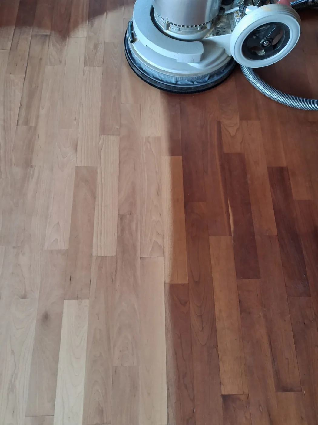 Schleifmaschine auf einem Parkettboden, links die frisch geschliffene helle Fläche, rechts der alte rötliche Boden